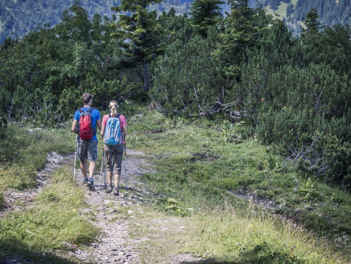 Wanderer  von hinten, © Tourist Information Kochel a. See, Fotograf: Th. Kujat