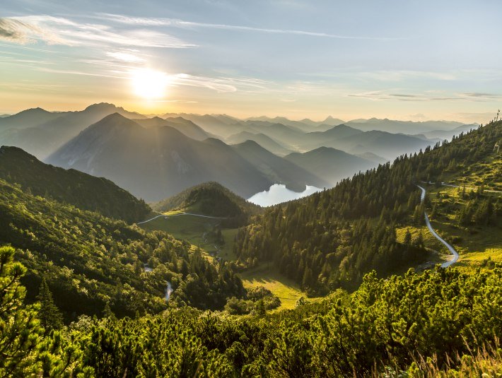 Blick vom Herzogstand Sommer, © Tourist Information Kochel a. See, Fotograf: Th. Kujat