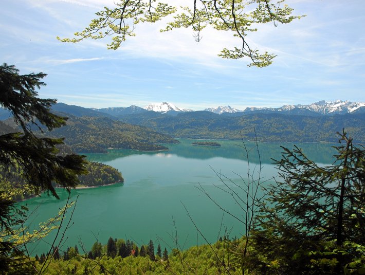 Blick vom Reitweg auf den Walchensee, © Tölzer Land Tourismus
